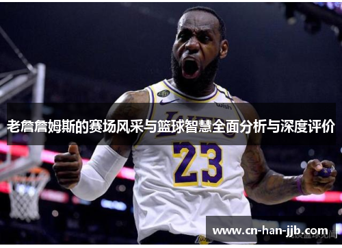 老詹詹姆斯的赛场风采与篮球智慧全面分析与深度评价