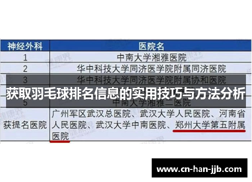 获取羽毛球排名信息的实用技巧与方法分析